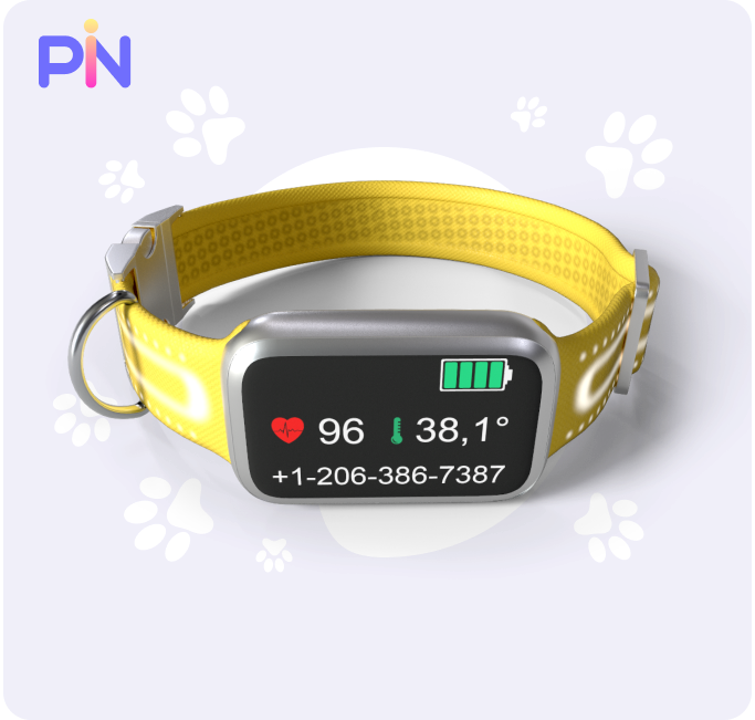 pin